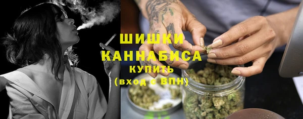 стафф Бронницы