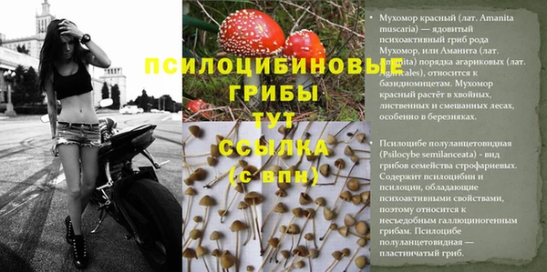 герыч Богородицк
