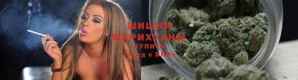 PSILOCYBIN Богданович