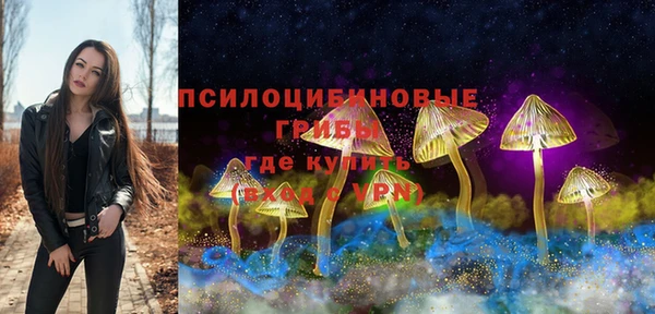 ALPHA-PVP Бородино