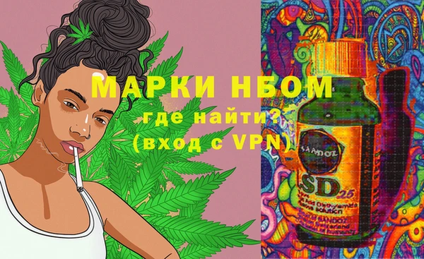 стафф Бронницы
