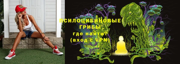 PSILOCYBIN Богданович