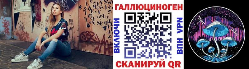Псилоцибиновые грибы мицелий  где можно купить   Гулькевичи 